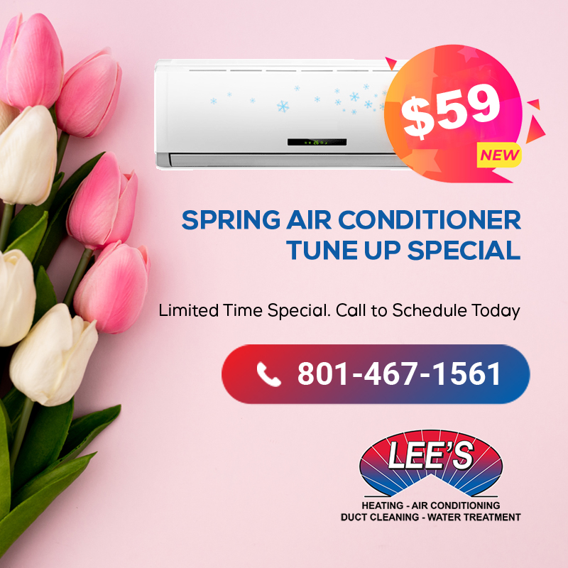 Lee's-Spring-Ac-Tuneup-Special